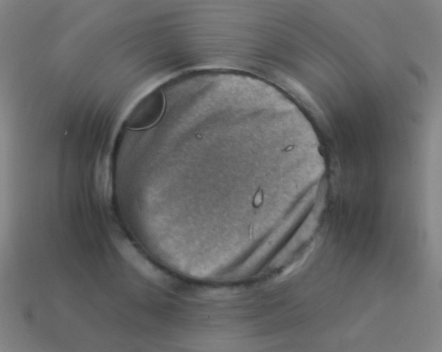 X0000113590892200910161840