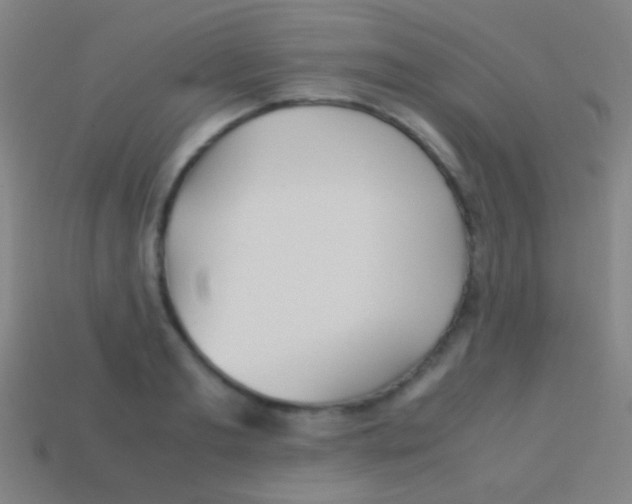 X0000113590893200910161840