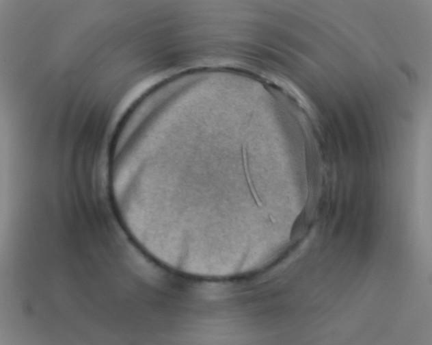 X0000113590894200910161840