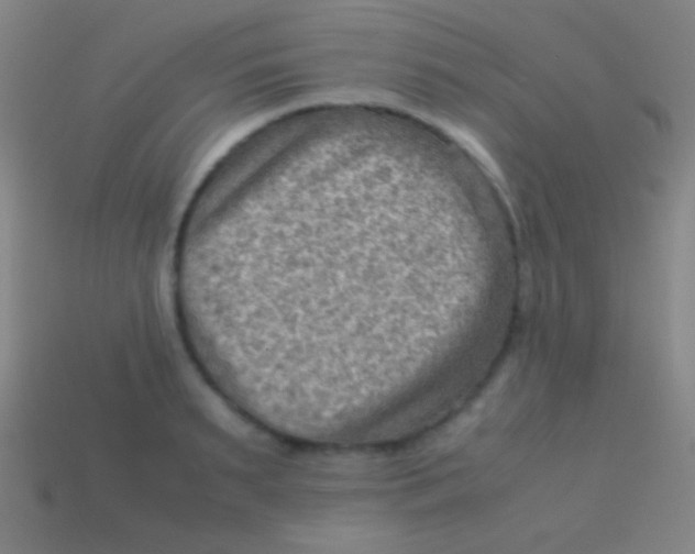 X0000113590895200910161840