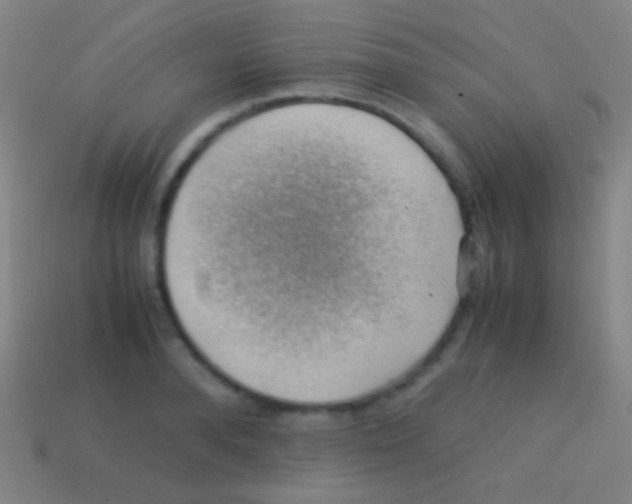 X0000113590896200910161840
