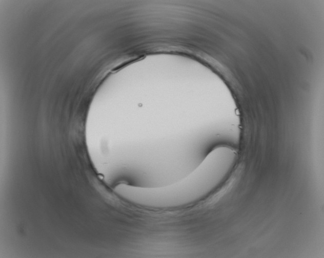 X0000113590897200910161840