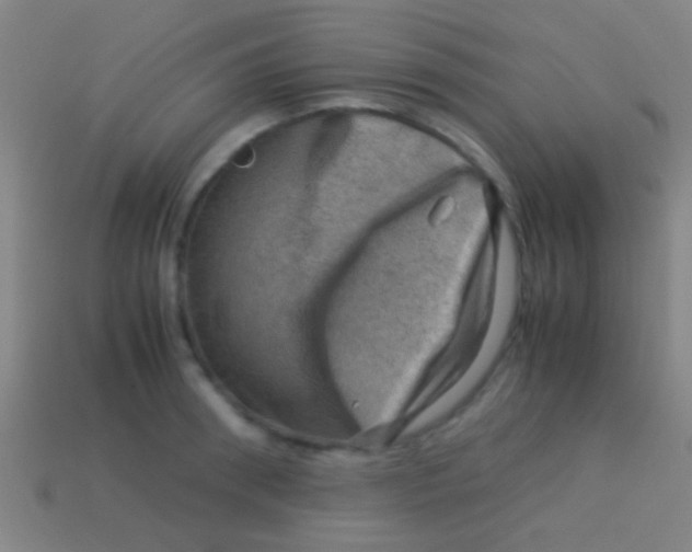 X0000113590898200910161840
