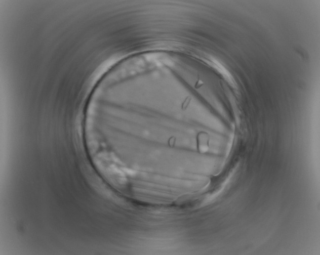 X0000113590899200910161840