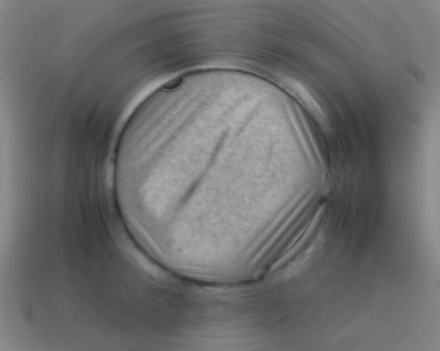 X0000113590900200910161840