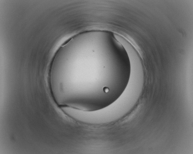 X0000113590901200910161840