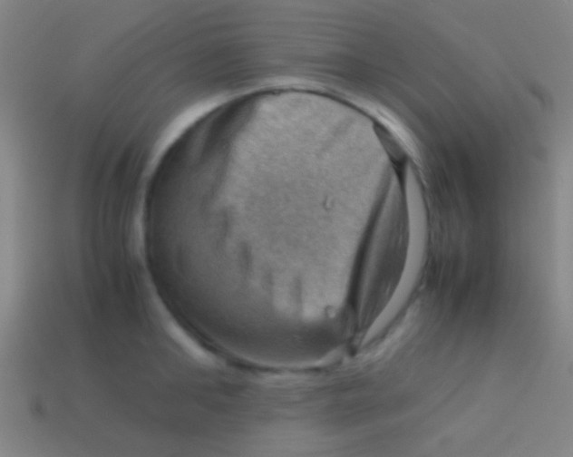 X0000113590902200910161840