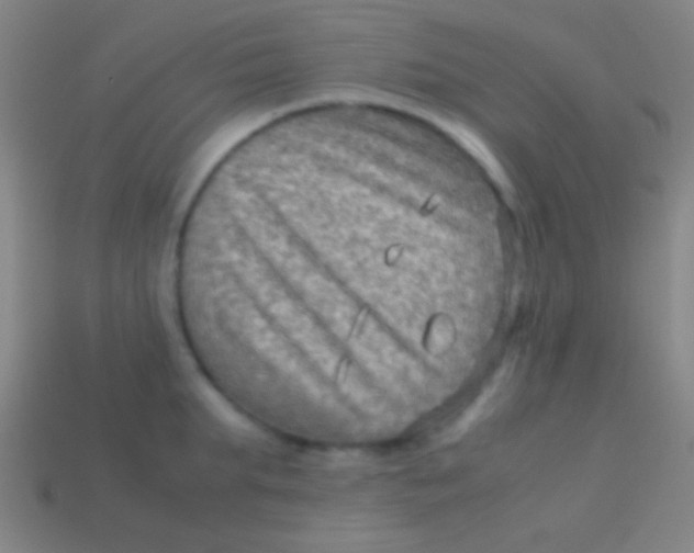 X0000113590903200910161840