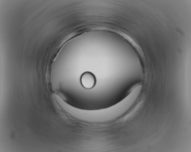X0000113590905200910161840