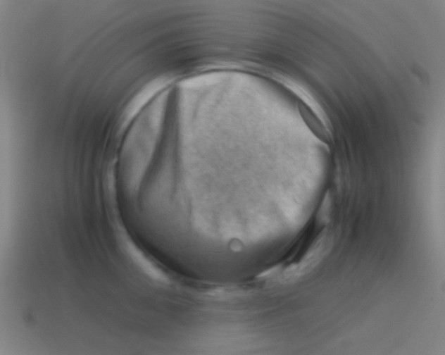 X0000113590906200910161840