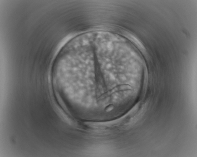 X0000113590907200910161840