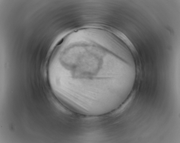 X0000113590908200910161840