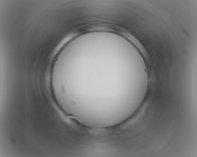 X0000113590909200910161840