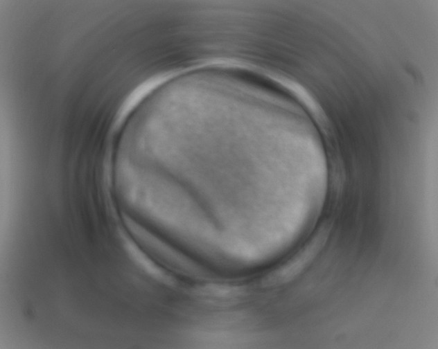 X0000113590910200910161840
