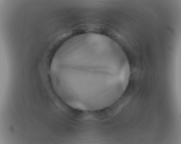 X0000113590913200910161840