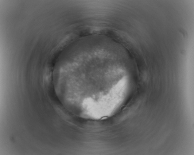 X0000113590914200910161840