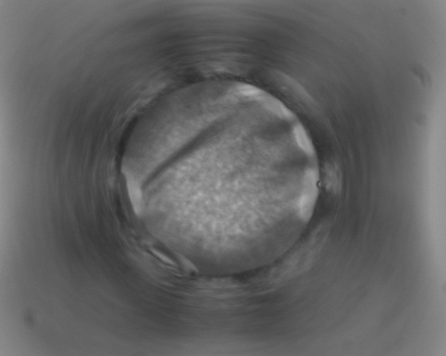X0000113590915200910161840