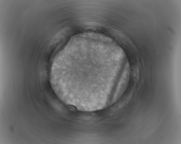 X0000113590916200910161840