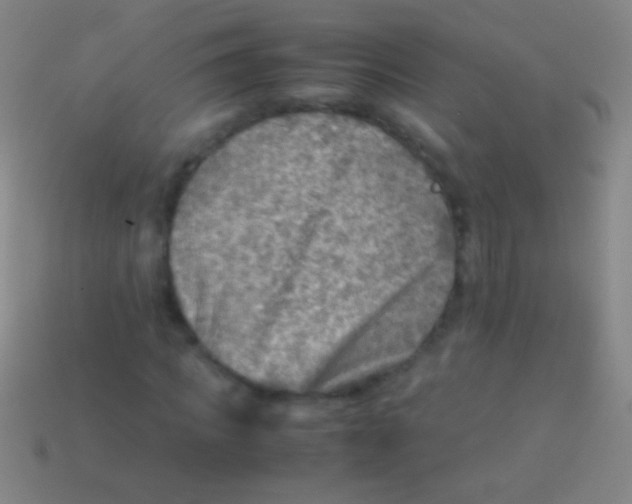 X0000113590917200910161840