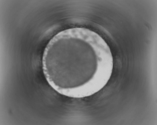 X0000113590918200910161840
