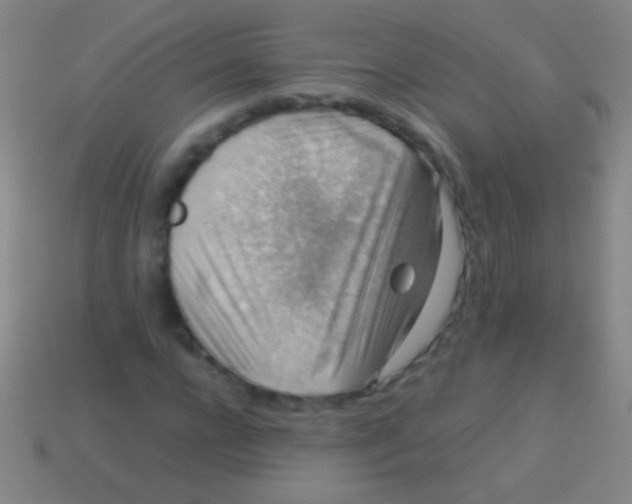 X0000113590920200910161840
