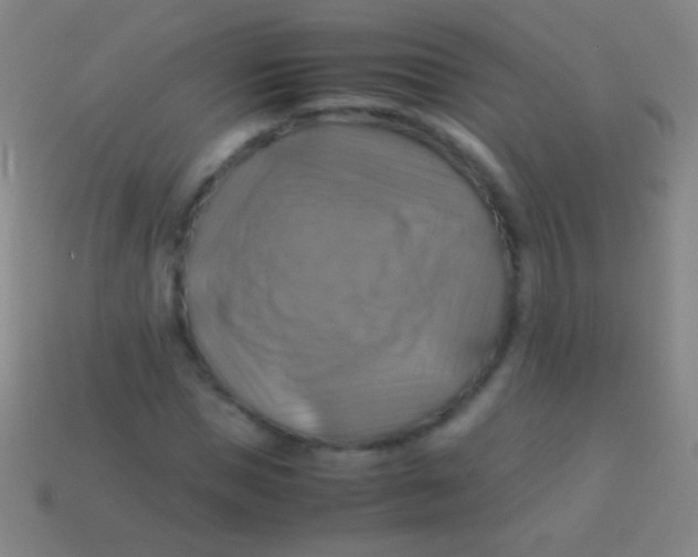 X0000113590921200910161840
