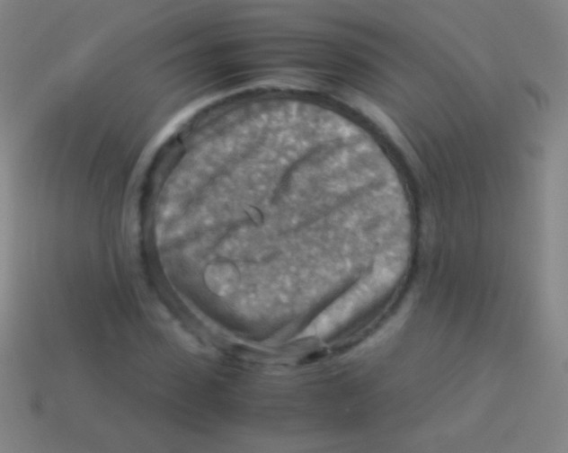 X0000113590923200910161840