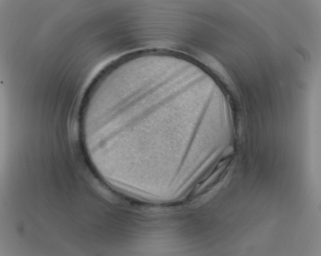 X0000113590924200910161840