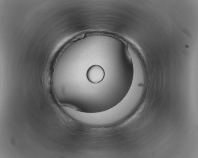 X0000113590925200910161840