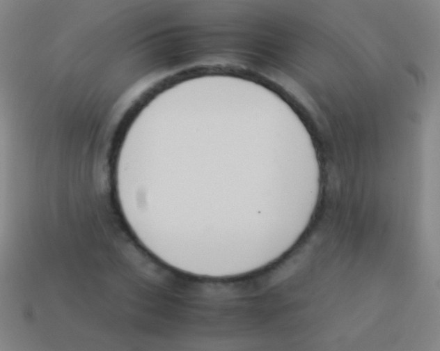 X0000113590927200910161840