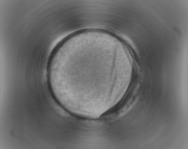 X0000113590928200910161840