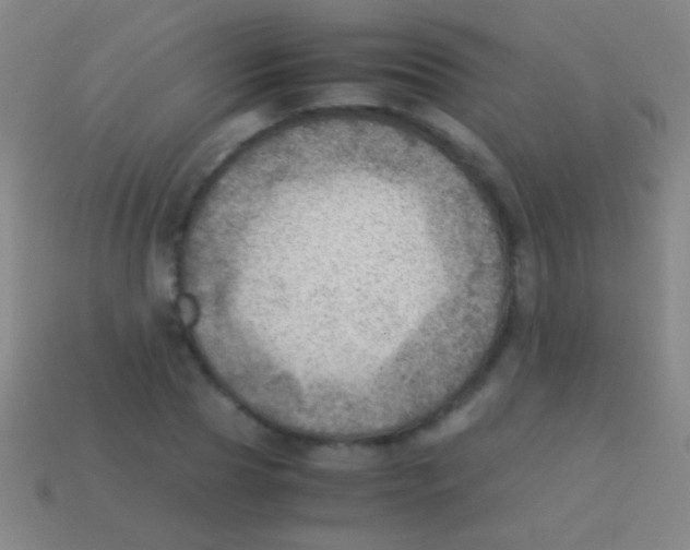 X0000113590929200910161840