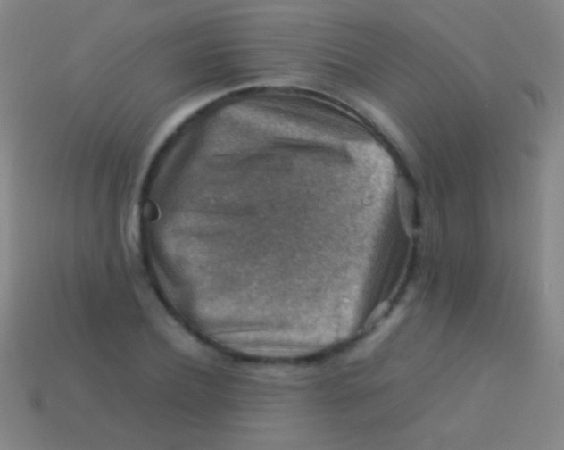X0000113590932200910161840