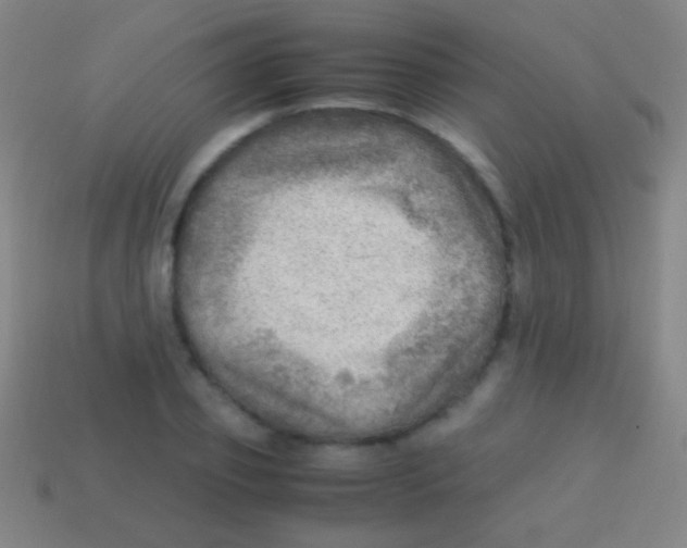 X0000113590933200910161840
