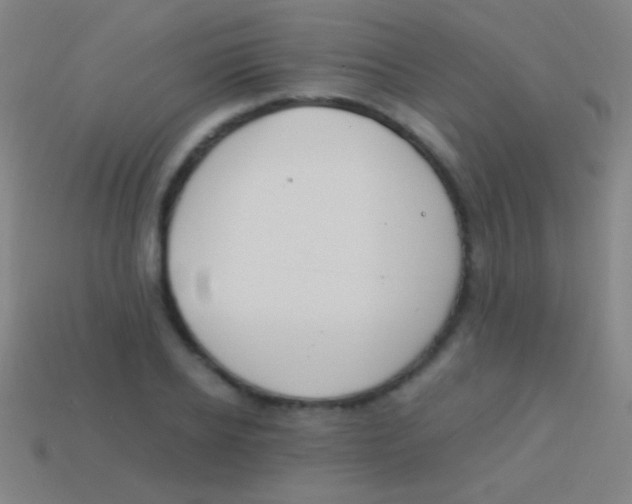 X0000113590934200910161840