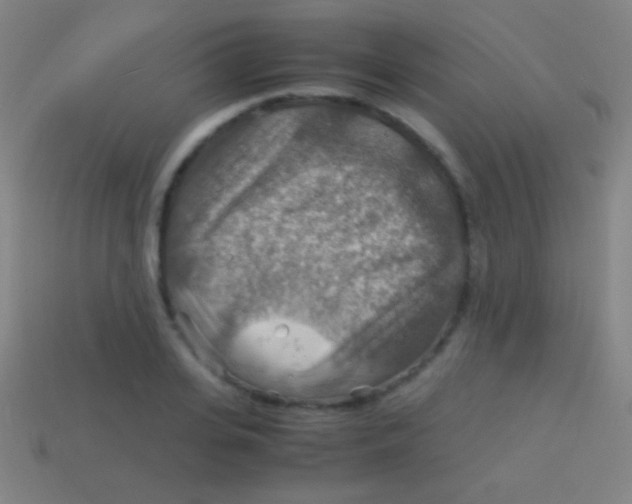 X0000113590935200910161840