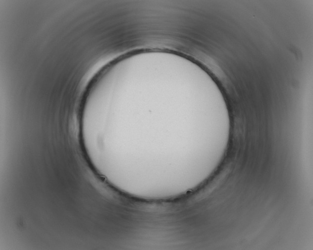 X0000113590936200910161840