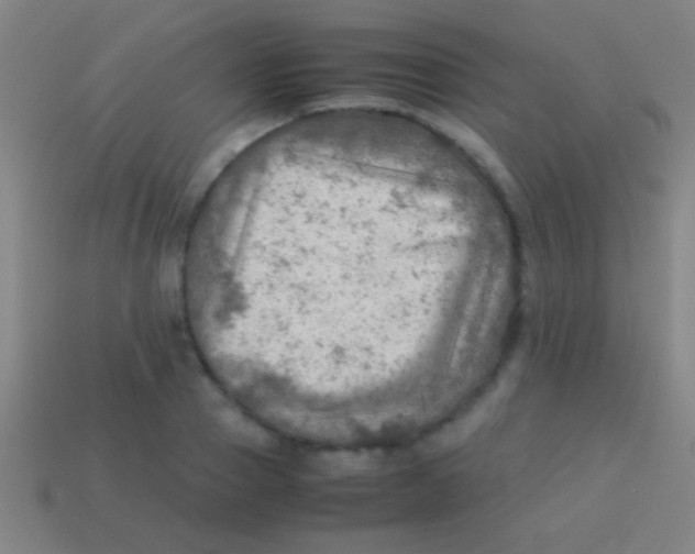 X0000113590937200910161840
