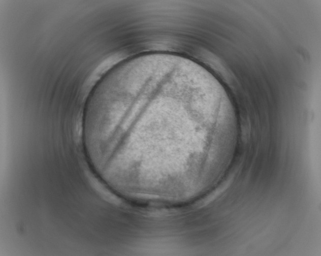 X0000113590938200910161840