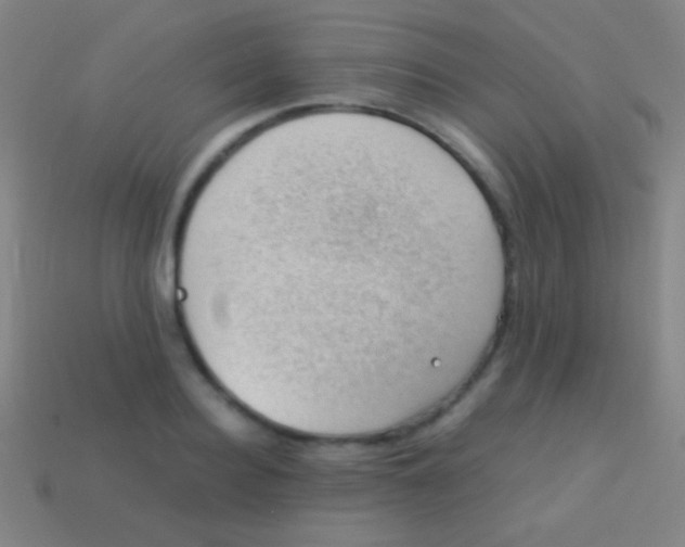 X0000113590940200910161840