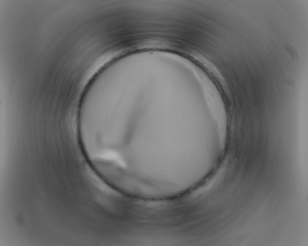 X0000113590941200910161840