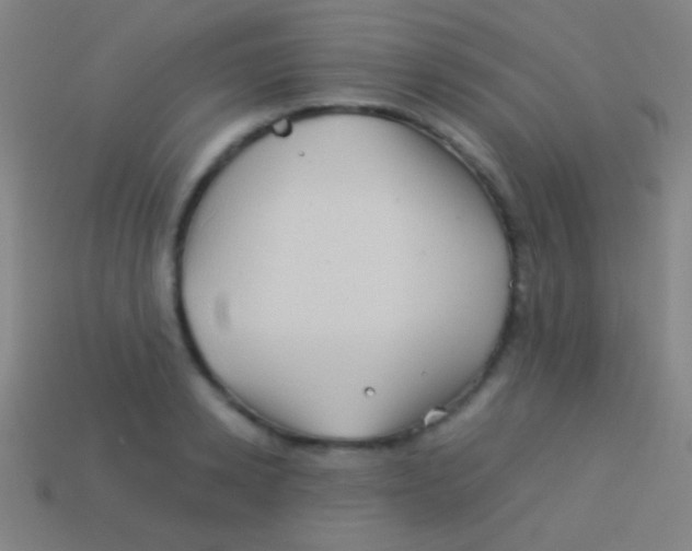X0000113590942200910161840