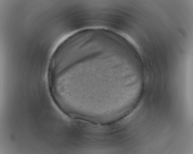 X0000113590943200910161840