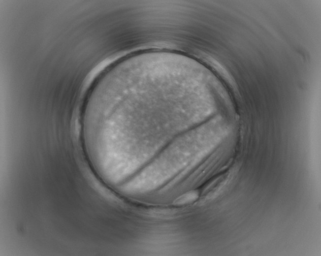 X0000113590944200910161840