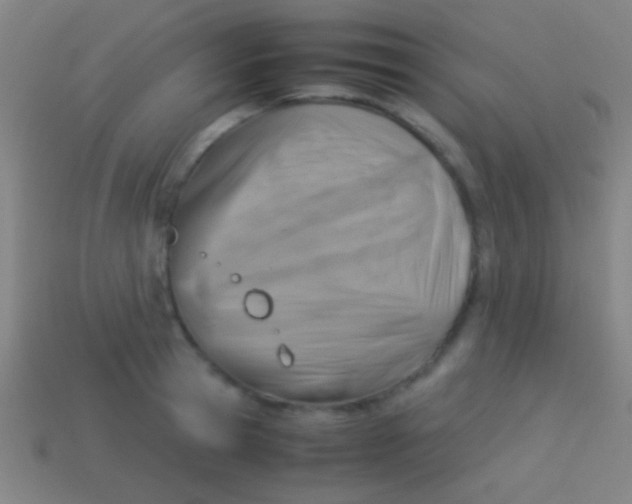 X0000113590945200910161840