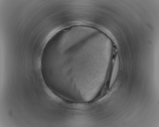 X0000113590946200910161840