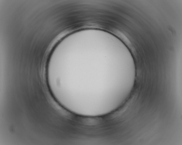 X0000113590947200910161840