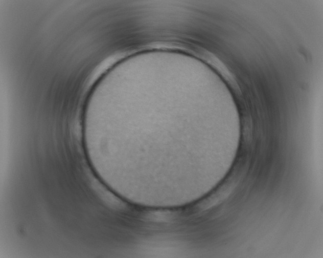 X0000113590950200910161840