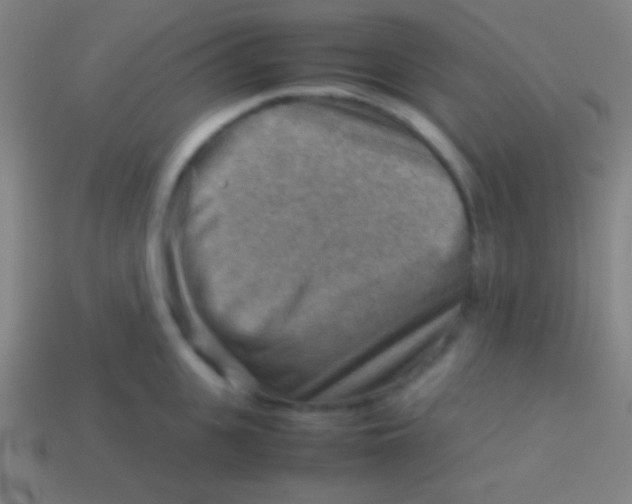 X0000113590951200910161840