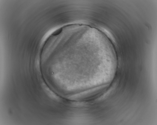X0000113590952200910161840